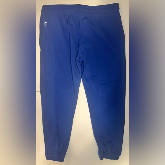 Zyia Active Unwind Blue Joggers Hiking Athleisure Athletic Pull On Women’s Sz L - Picture 2 of 7